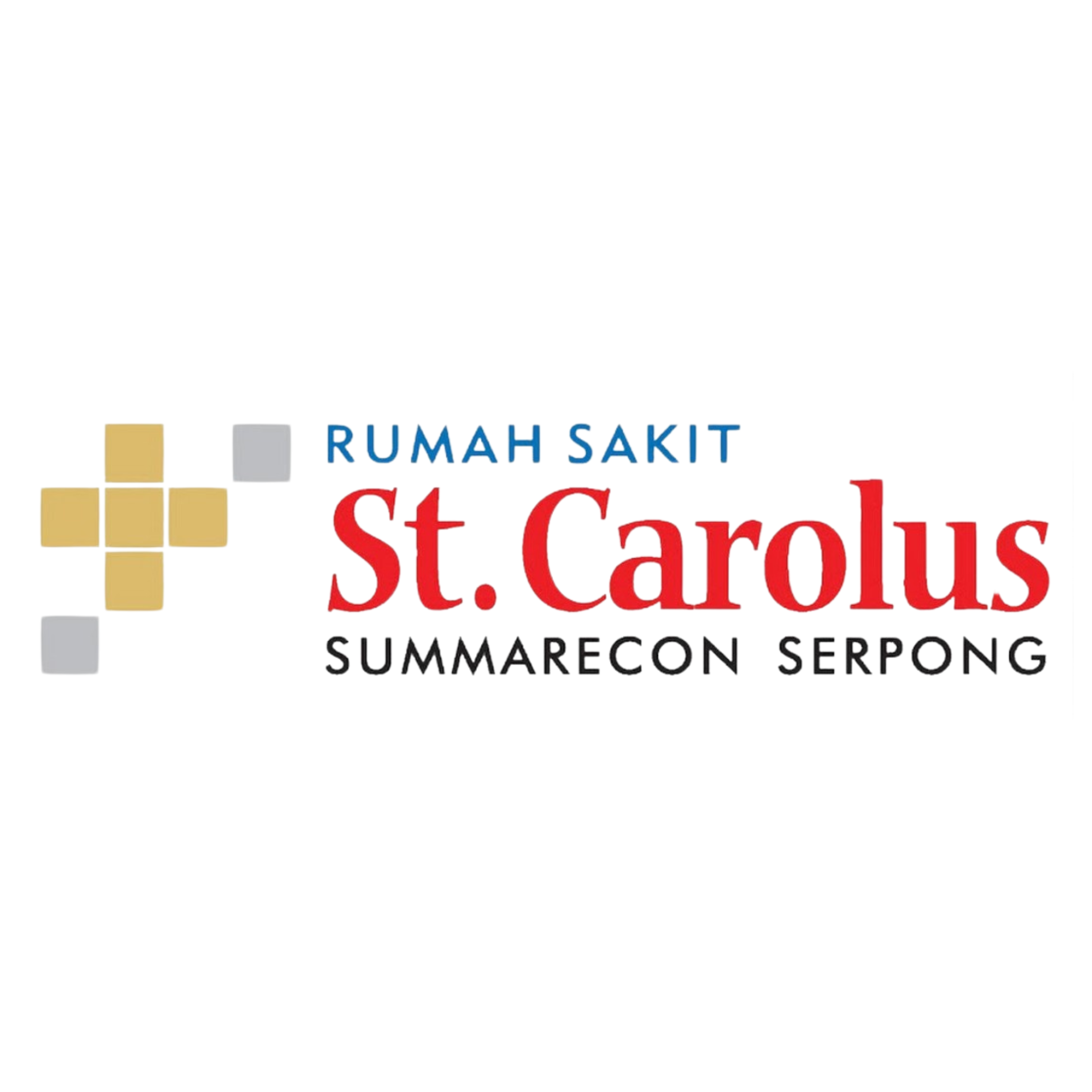 Slide RS St. Carolus Summarecon Serpong